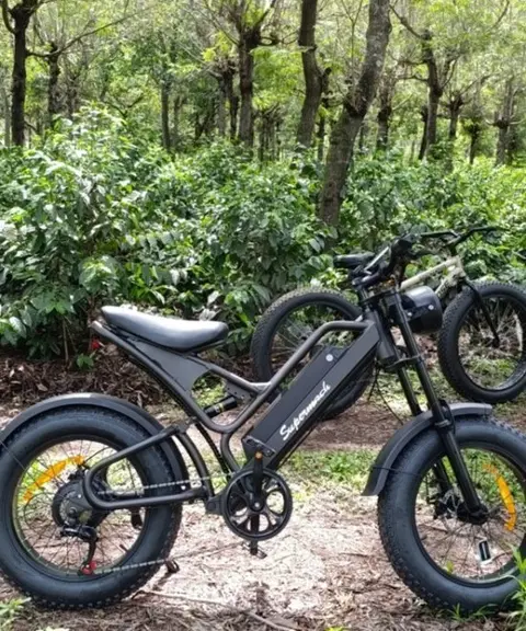 Bike Rental